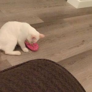 Meet your Posher, Nmb